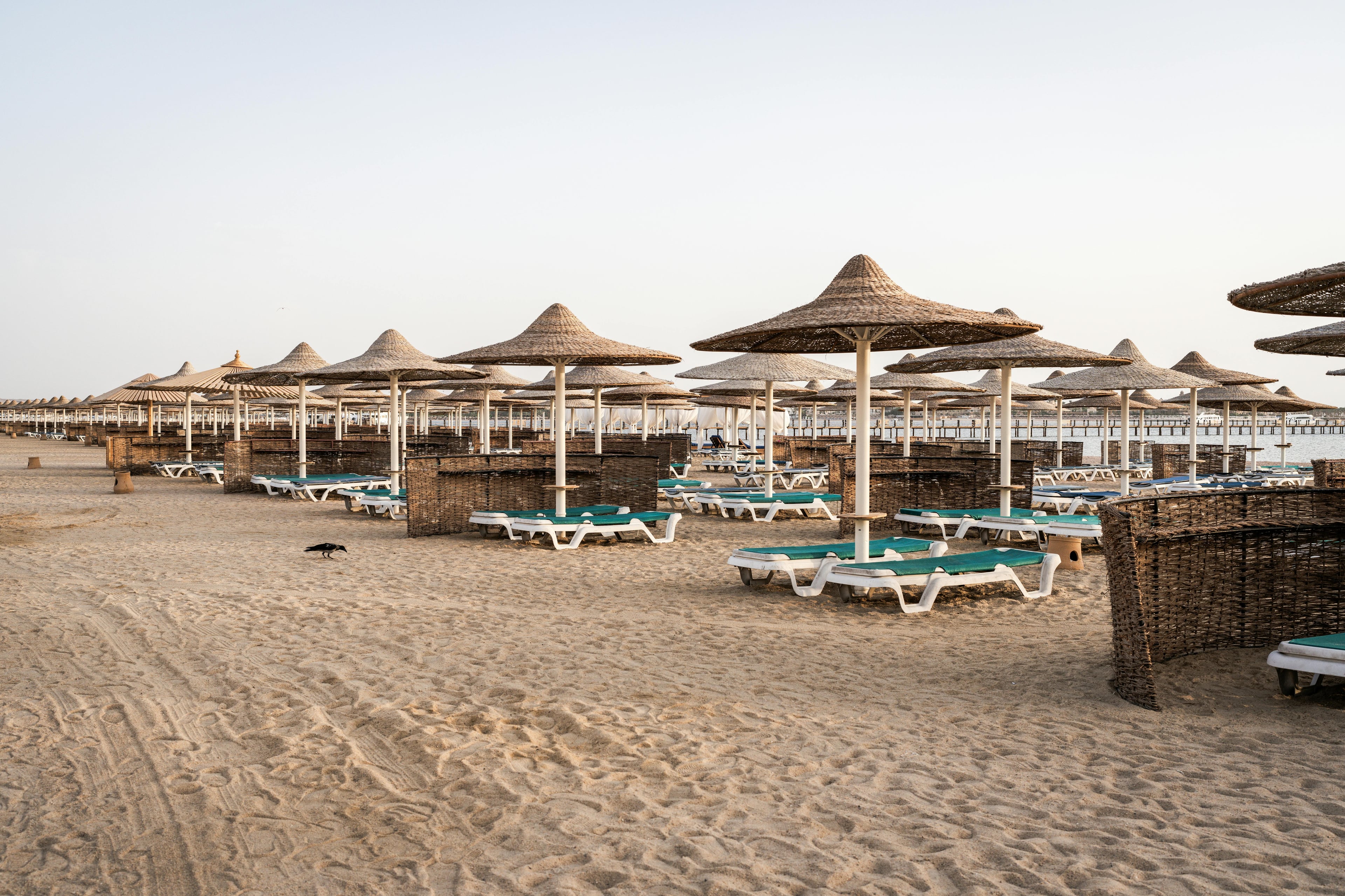 8-Hour Shore Excursion: Hurghada Snorkeling & Desert Safari